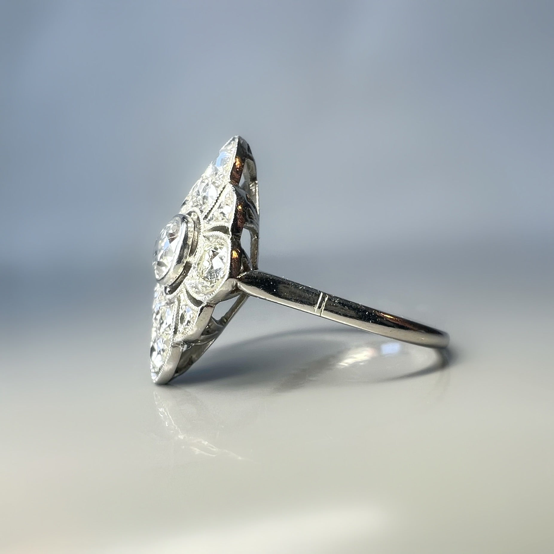 Antique Edwardian Diamond Floral Ring