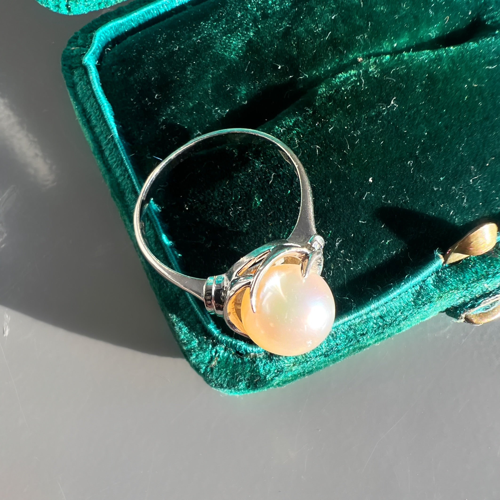 Single Pearl Ring, 14ct White gold